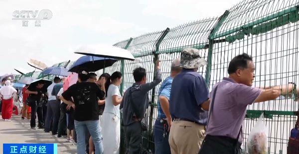 2025年钱塘江观潮迎来观赏季 钱塘江大潮时间